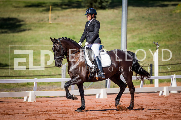 PatronsCup-276