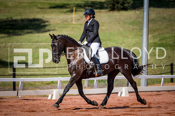 PatronsCup-277