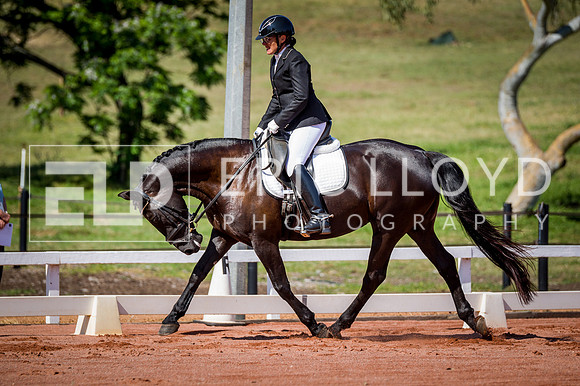 PatronsCup-283