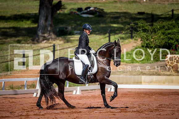 PatronsCup-287