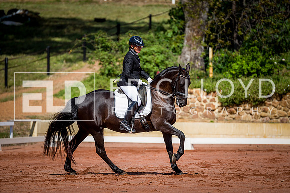 PatronsCup-289