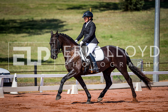 PatronsCup-296