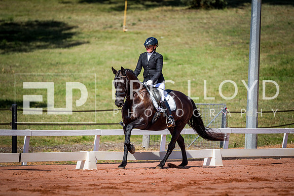 PatronsCup-299