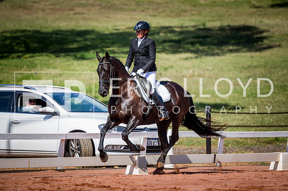 PatronsCup-302