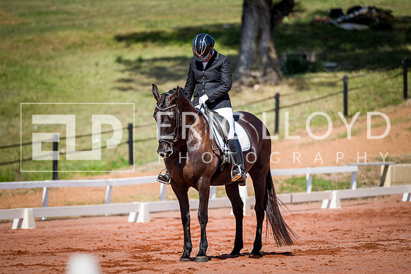 PatronsCup-306