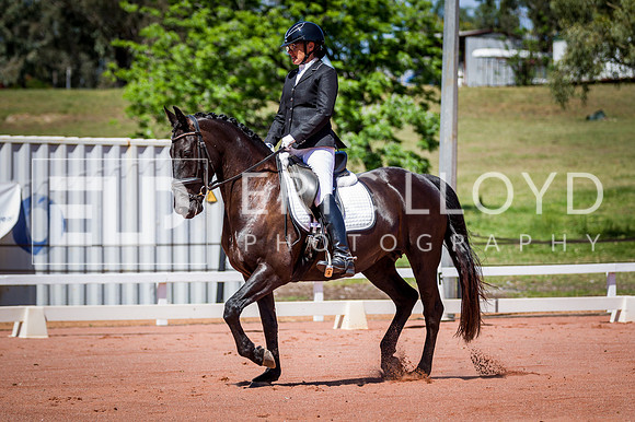 PatronsCup-634