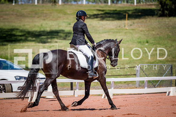 PatronsCup-637