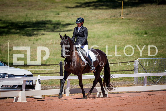 PatronsCup-638