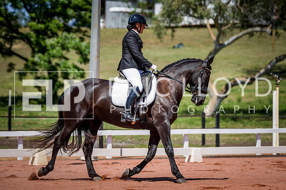 PatronsCup-648