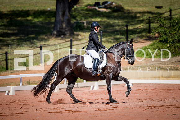 PatronsCup-651