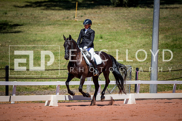 PatronsCup-655
