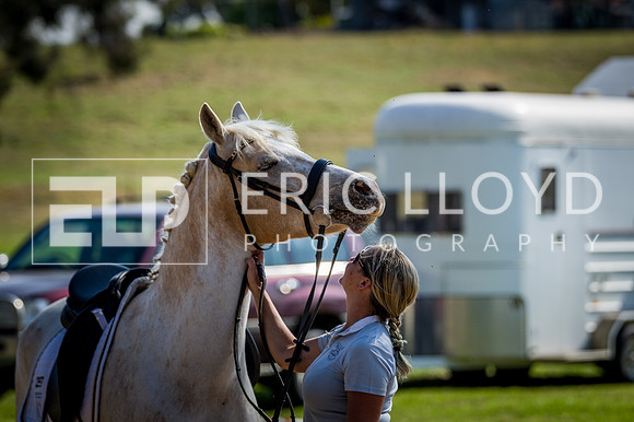 PatronsCup-2830