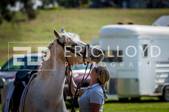 PatronsCup-2832