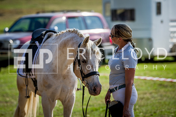 PatronsCup-2834