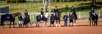 PatronsCup-3042