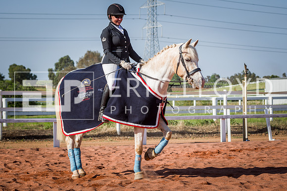 PatronsCup-3128