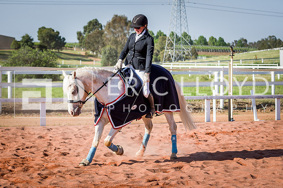 PatronsCup-3132