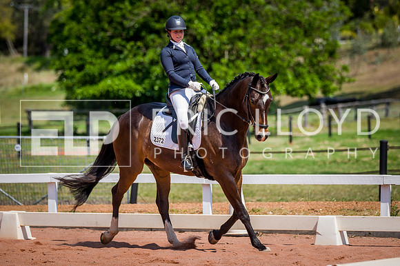 PatronsCup-2186