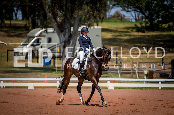 PatronsCup-2206