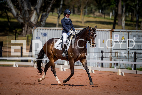PatronsCup-2210