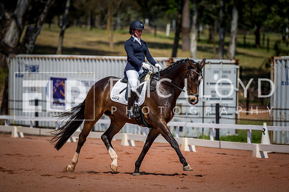 PatronsCup-2212