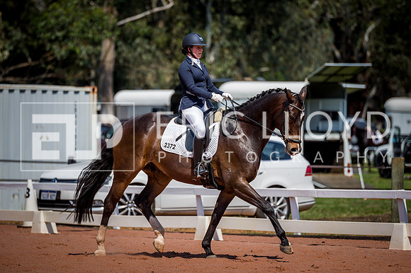 PatronsCup-2215