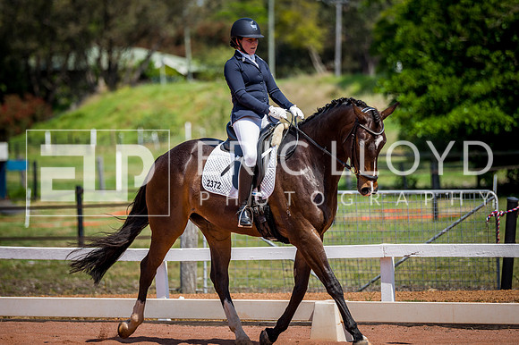 PatronsCup-2219