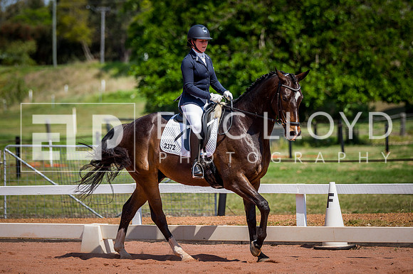 PatronsCup-2226