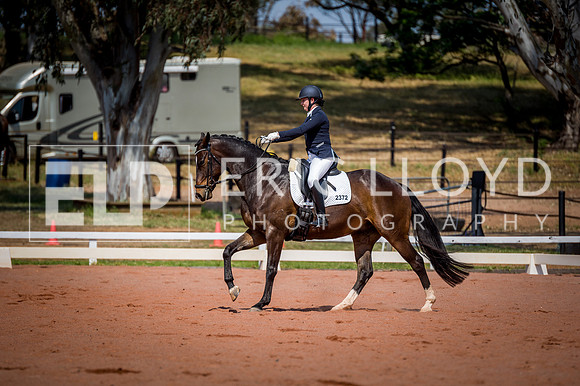 PatronsCup-2231