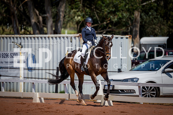 PatronsCup-2239