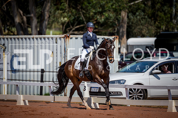PatronsCup-2240