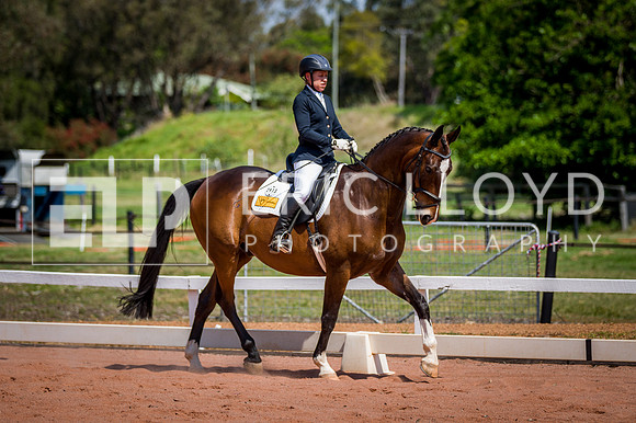 PatronsCup-2249