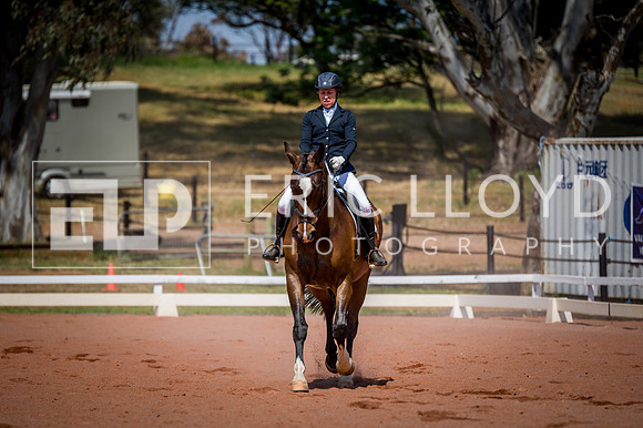 PatronsCup-2253