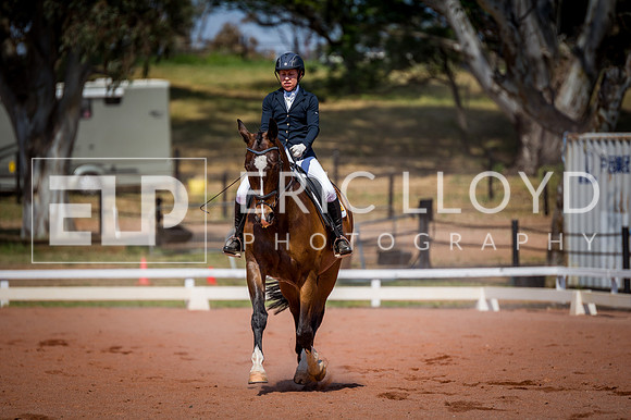 PatronsCup-2258