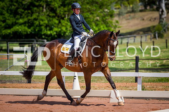 PatronsCup-2276