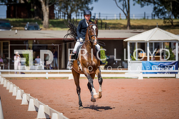 PatronsCup-2277