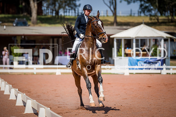 PatronsCup-2282