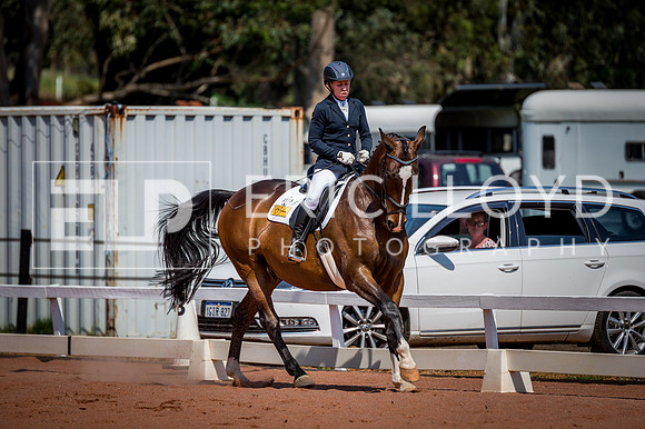 PatronsCup-2287
