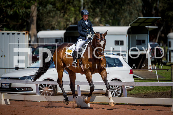 PatronsCup-2290