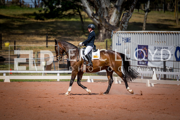 PatronsCup-2297
