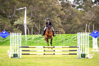 2. Claremont Therapeutic Horse Classic AM5