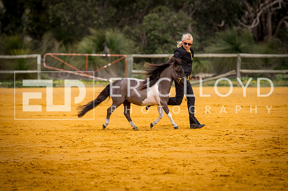 untitled-0659