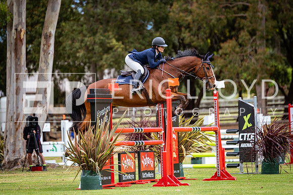 IMGP3557