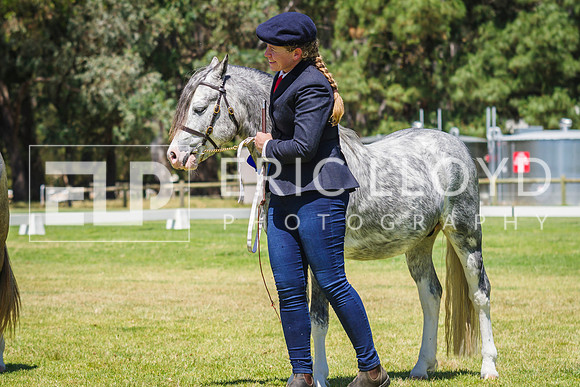 IMGP7297