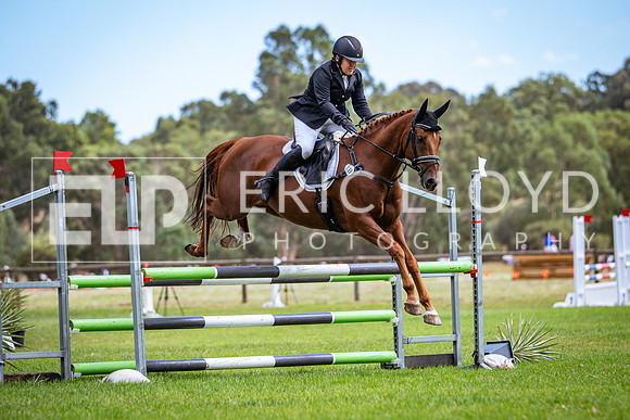 IMGP8786