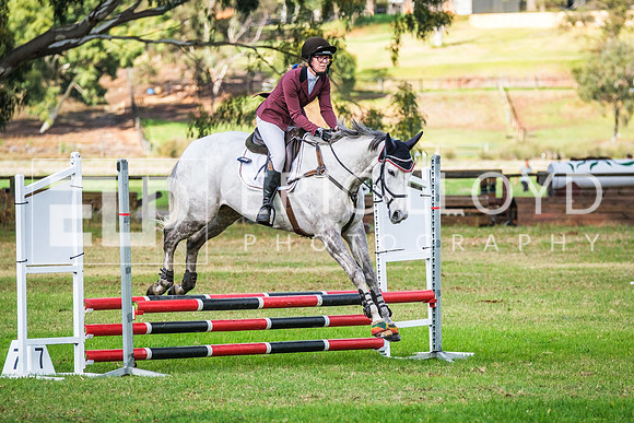 DSCF8293
