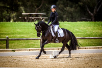 Pony Dressage Showcase & Young Horse WA 11.11.2018