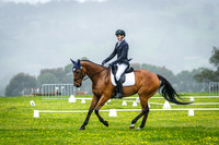 Dressage Arena 1,2,3,4, & 5
