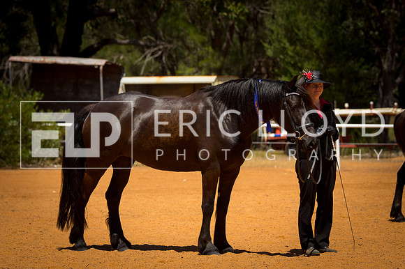 untitled-9642