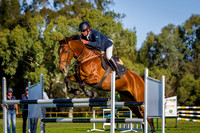 5 - Horseland Kelmscott Diamond 110cm